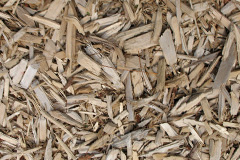 biomass boilers Crindle